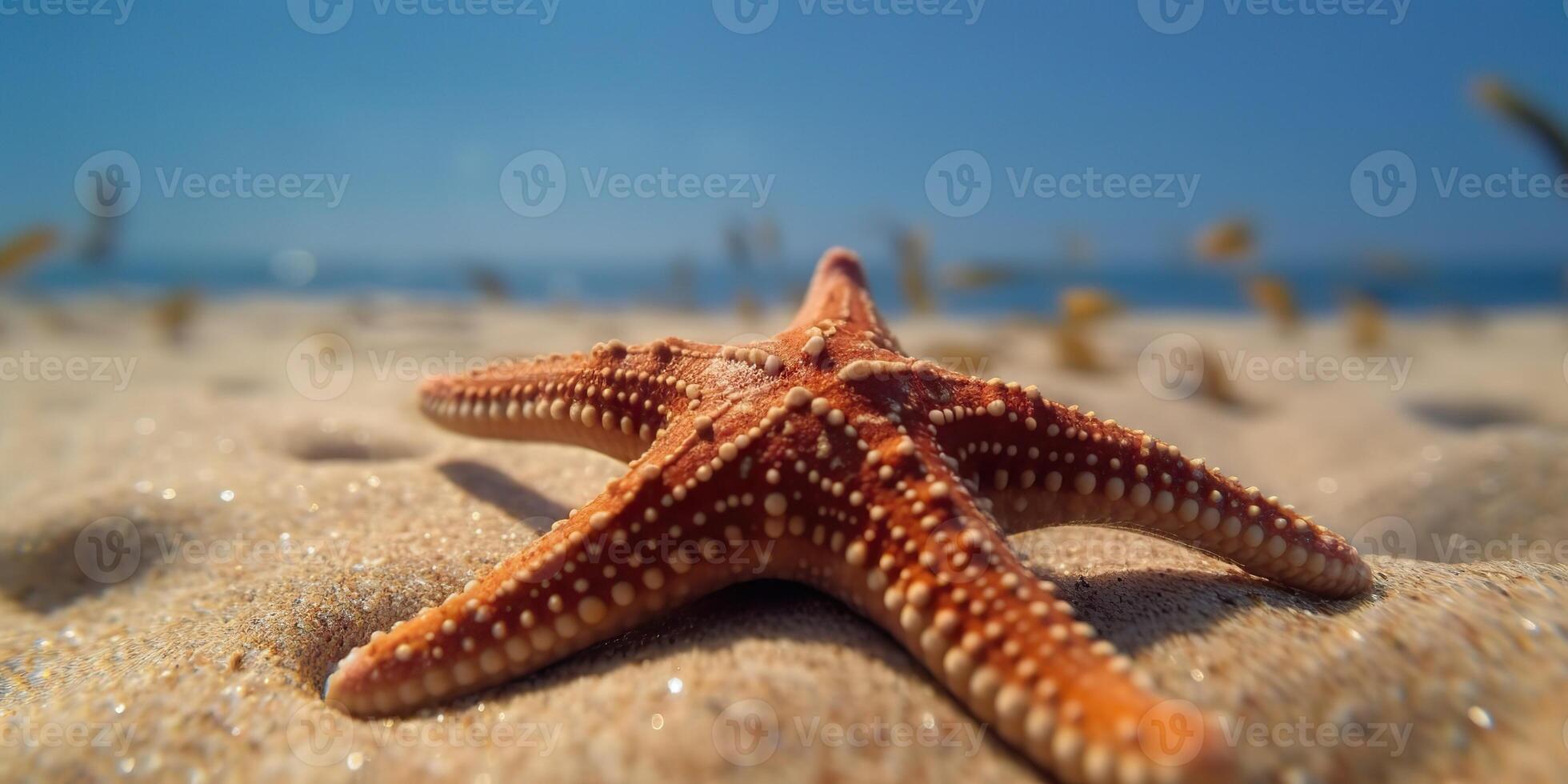 ai gegenereerd. ai generatief. zee marine nautische marinier zeester strand eiland zand oceaan vakantie kom tot rust zon uitstraling. grafisch kunst foto