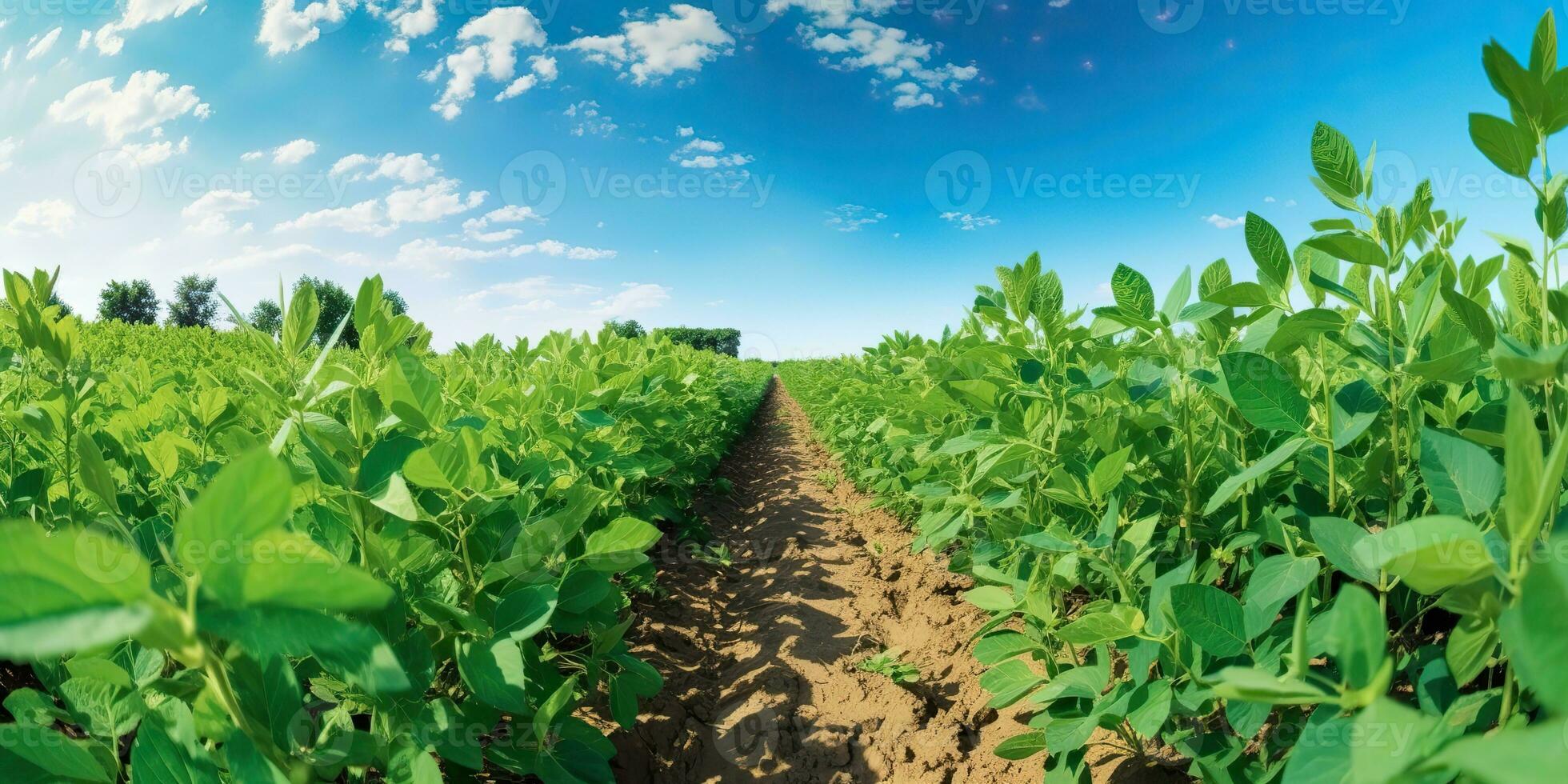 ai gegenereerd. ai generatief. boerderij oogst groen soja veld. buitenshuis natuur fabriek groente biologisch eco Product. grafisch kunst foto