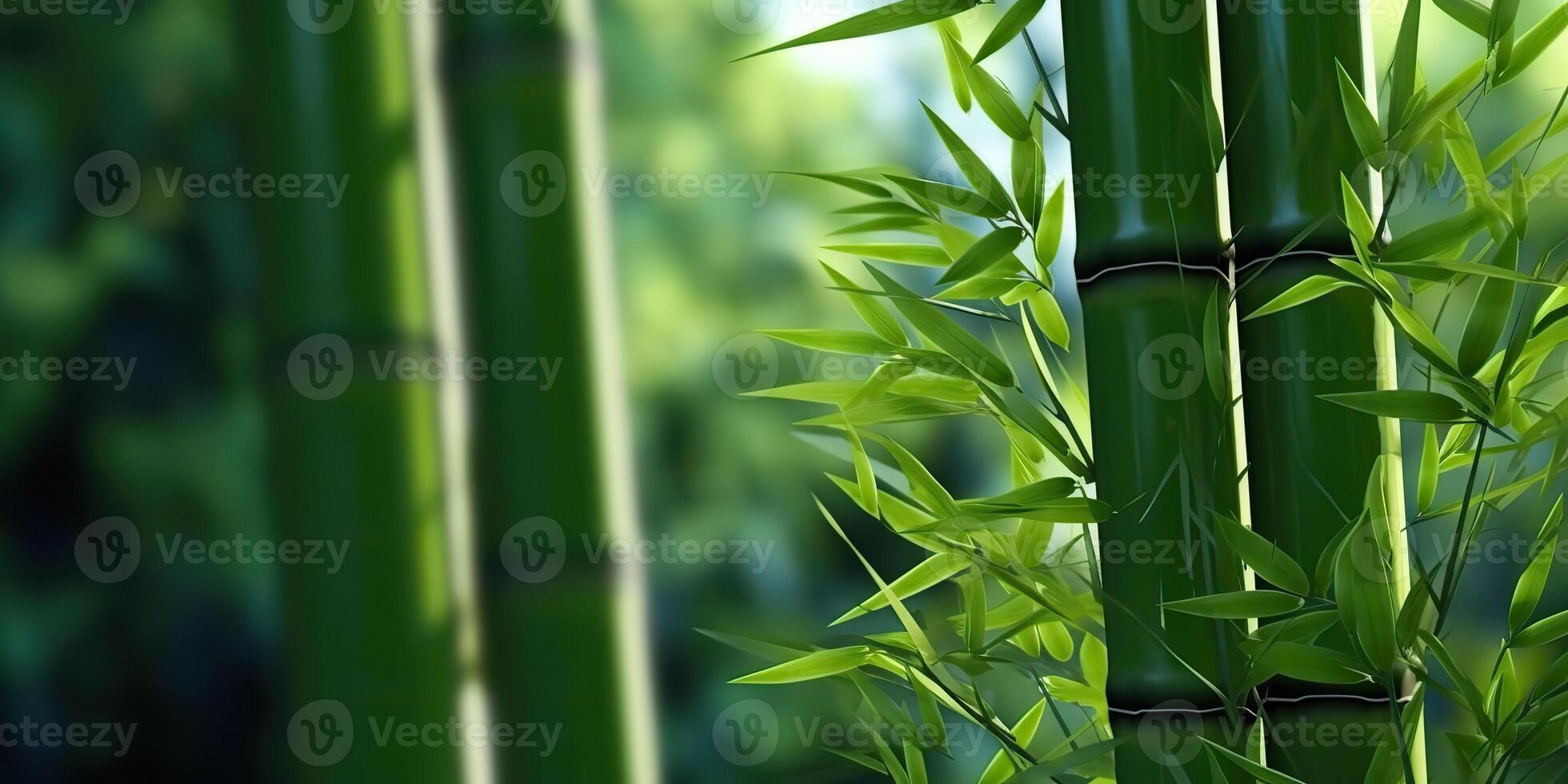 ai gegenereerd. ai generatief. eco groen blad fabriek boom bamboe. Aziatisch Japan Chinese cultuur traditie uitstraling. grafisch kunst foto