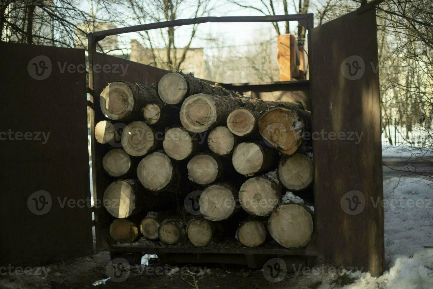 gezaagd logboeken in terug van vrachtwagen. veel van logboeken liggen in rij. kappen details. foto