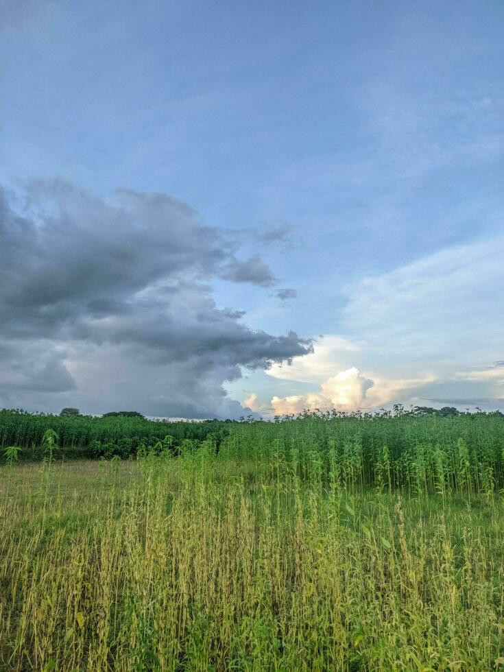 bewolkt lucht beeld foto