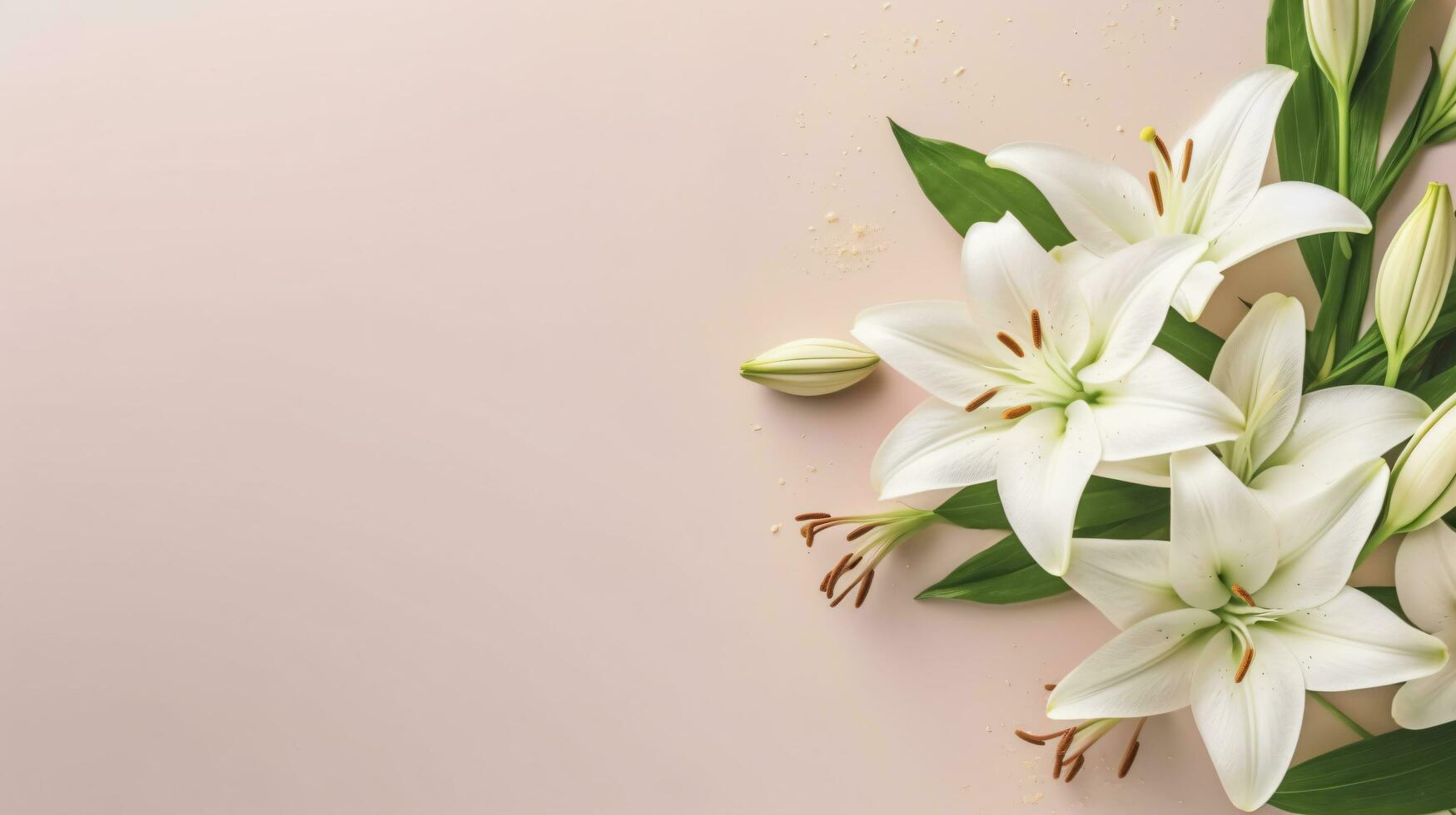 mooi wit lelie bloemen Aan blanco achtergrond. kleurrijk bloemen voor moeder dag, vrouwen dag, verjaardag kaart, Pasen. generatief ai foto