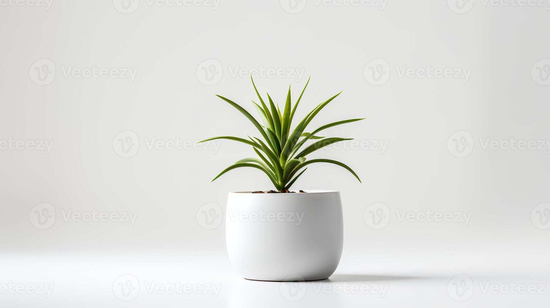 foto kamerplant in minimalistische pot voor huis decoratie. generatief ai