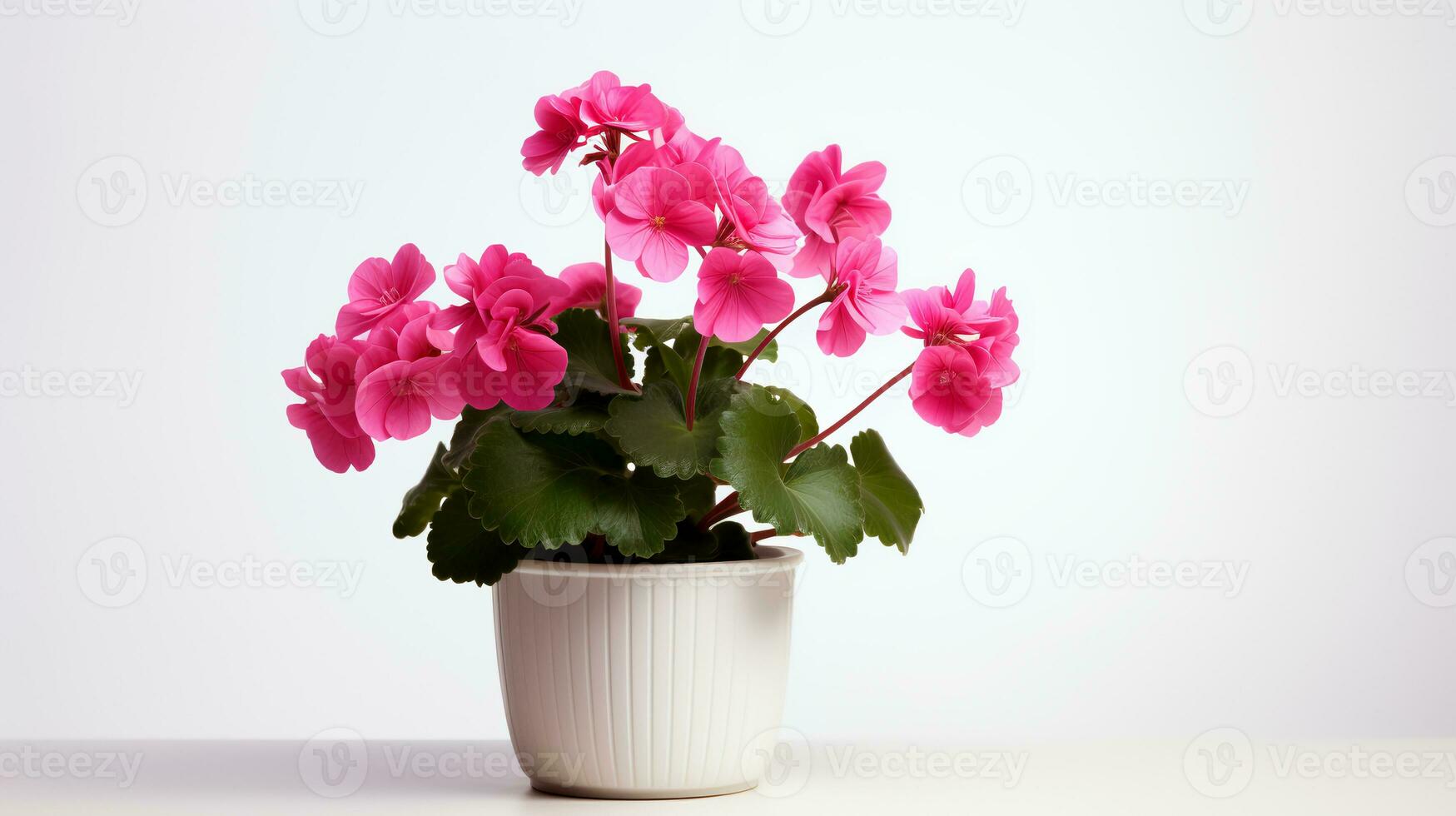 foto van geranium in minimalistische pot net zo kamerplant voor huis decoratie geïsoleerd Aan wit achtergrond. generatief ai