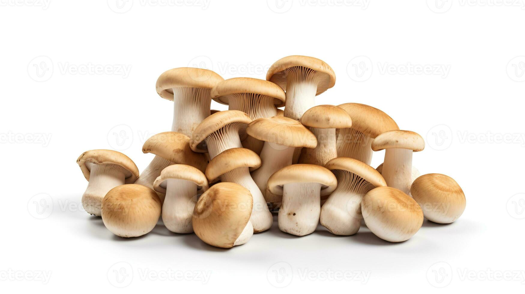 foto van champignons geïsoleerd Aan wit achtergrond