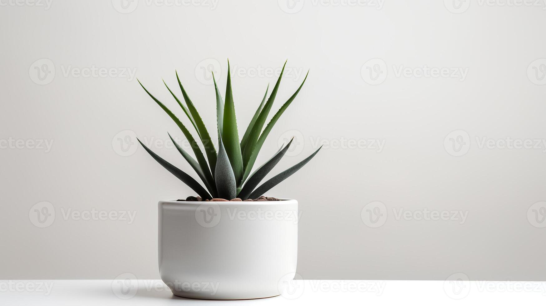 foto van agave in minimalistische pot net zo kamerplant voor huis decoratie geïsoleerd Aan wit achtergrond. generatief ai