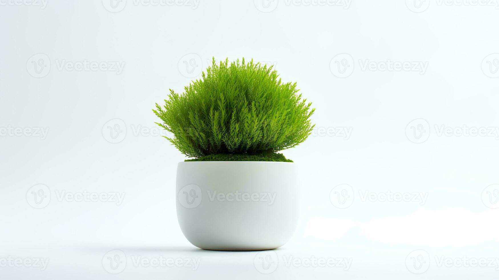 foto van Java mos in minimalistische pot net zo kamerplant voor huis decoratie geïsoleerd Aan wit achtergrond. generatief ai