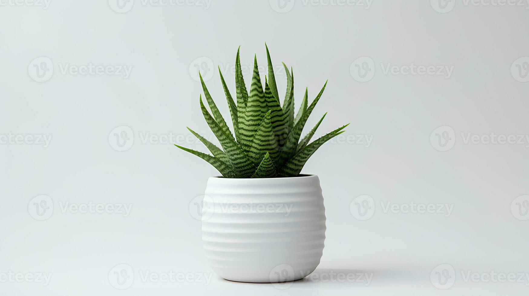 foto van Haworthia in minimalistische pot net zo kamerplant voor huis decoratie geïsoleerd Aan wit achtergrond. generatief ai