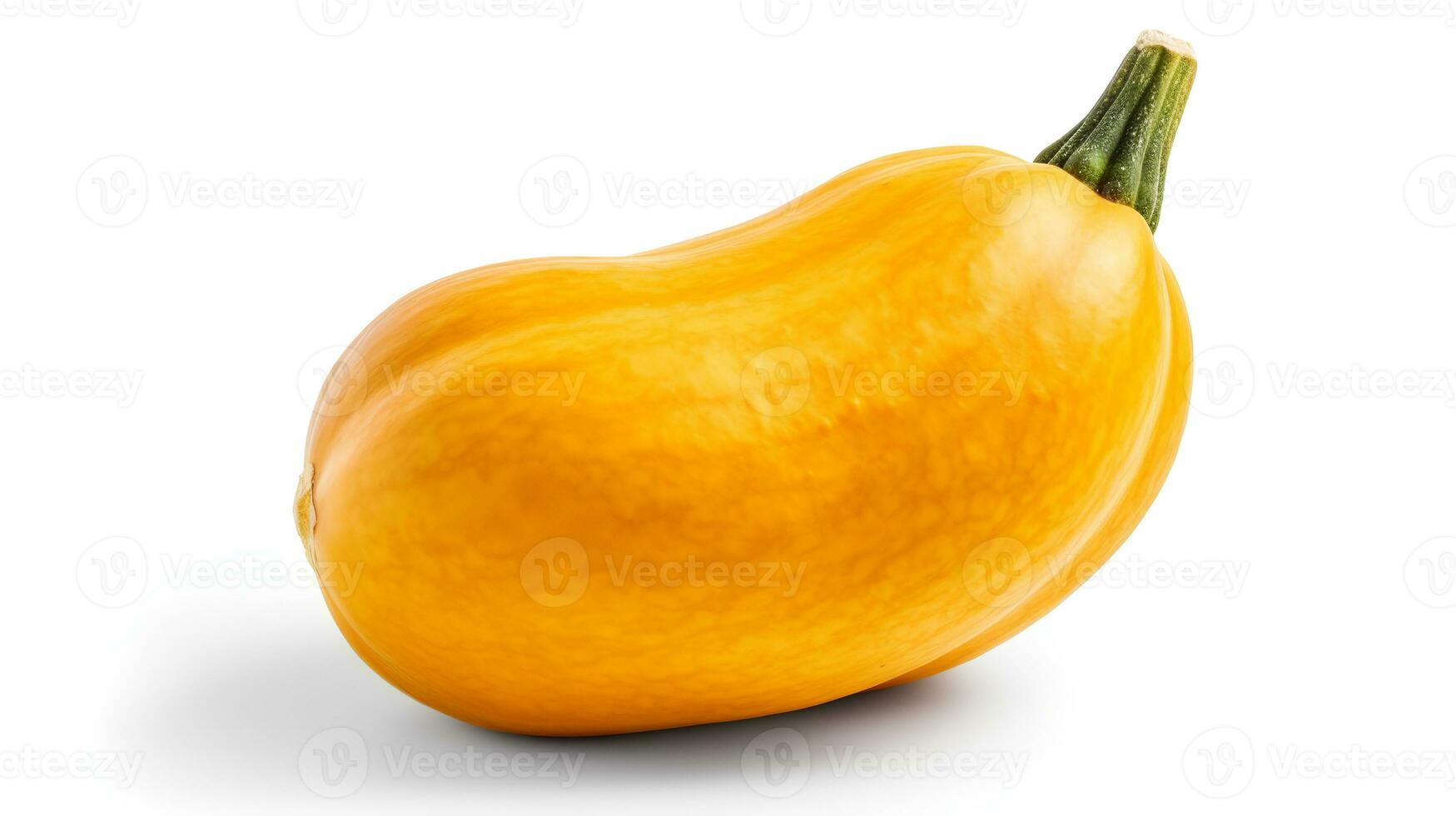 foto van butternut squash geïsoleerd Aan wit achtergrond