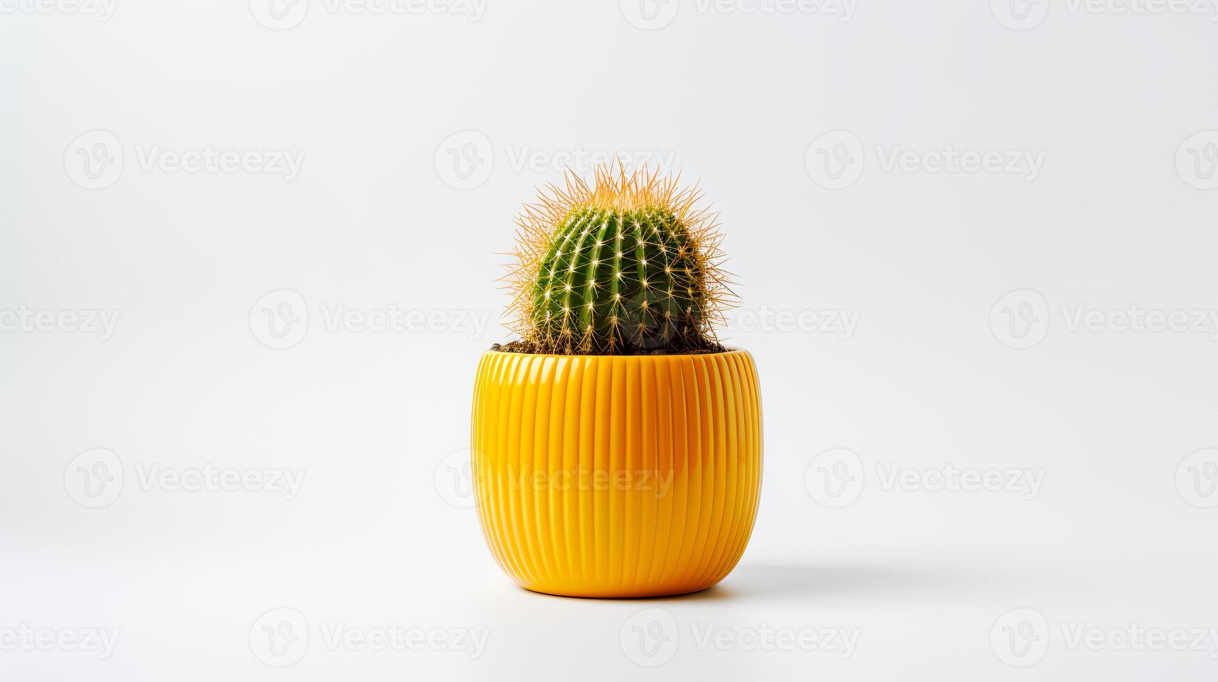 foto van gouden vat cactus in minimalistische geel pot net zo kamerplant voor huis decoratie geïsoleerd Aan wit achtergrond. generatief ai