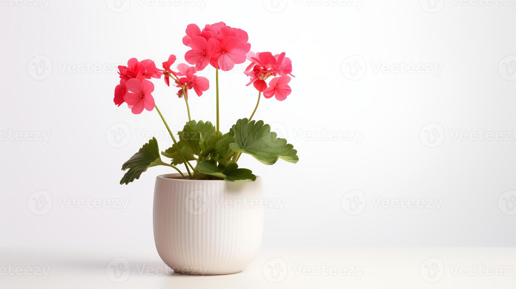 foto van geranium in minimalistische pot net zo kamerplant voor huis decoratie geïsoleerd Aan wit achtergrond. generatief ai