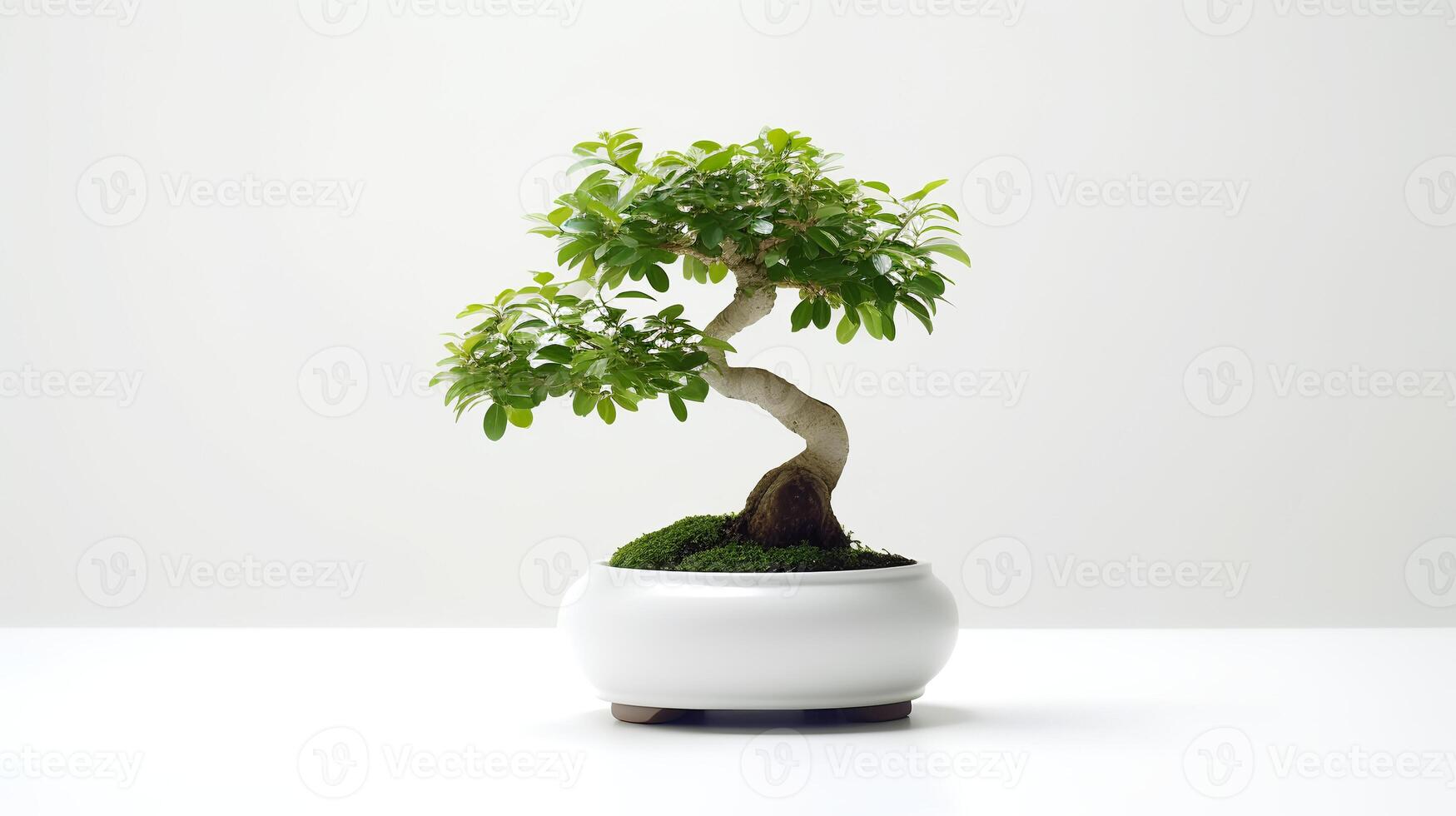 foto van bonsai in minimalistische pot net zo kamerplant voor huis decoratie geïsoleerd Aan wit achtergrond. generatief ai