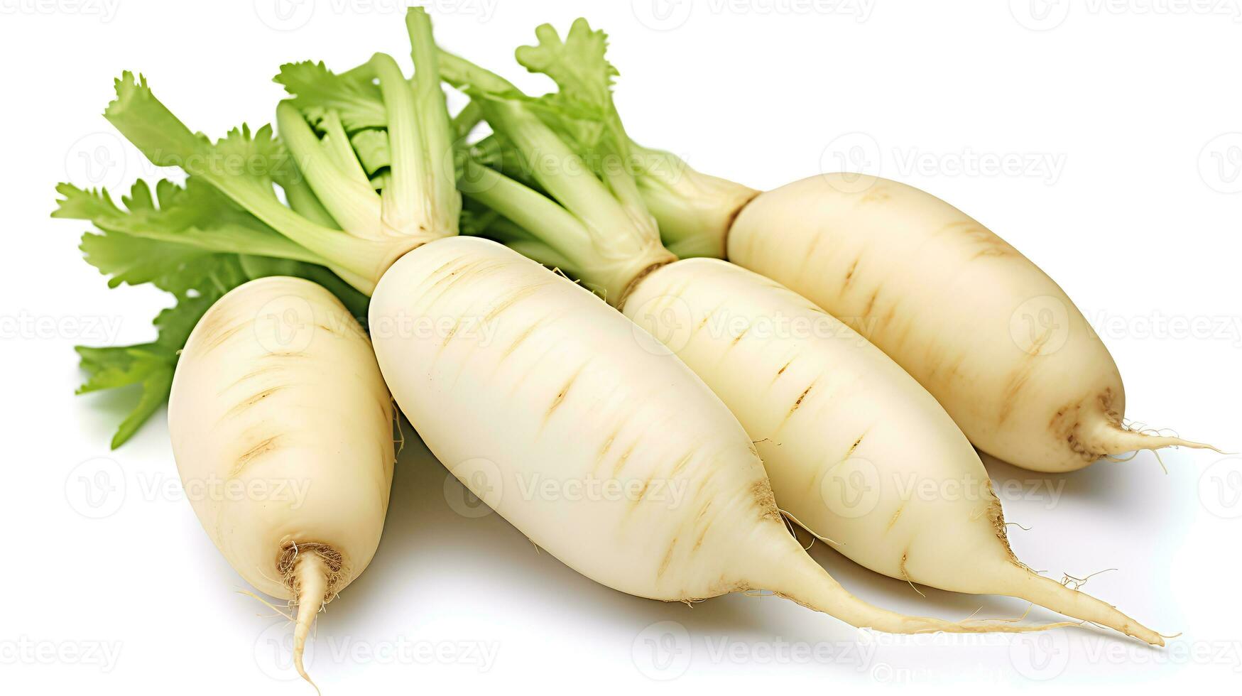 foto van daikon radijs geïsoleerd Aan wit achtergrond