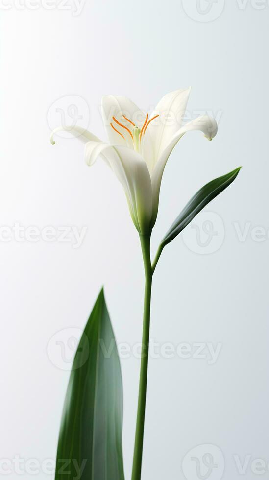 foto van een stengel van lelie bloem geïsoleerd Aan wit achtergrond. generatief ai