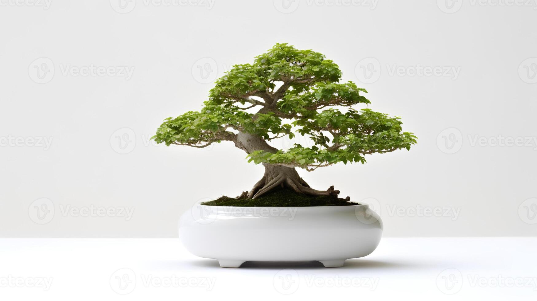 foto van bonsai in minimalistische pot net zo kamerplant voor huis decoratie geïsoleerd Aan wit achtergrond. generatief ai