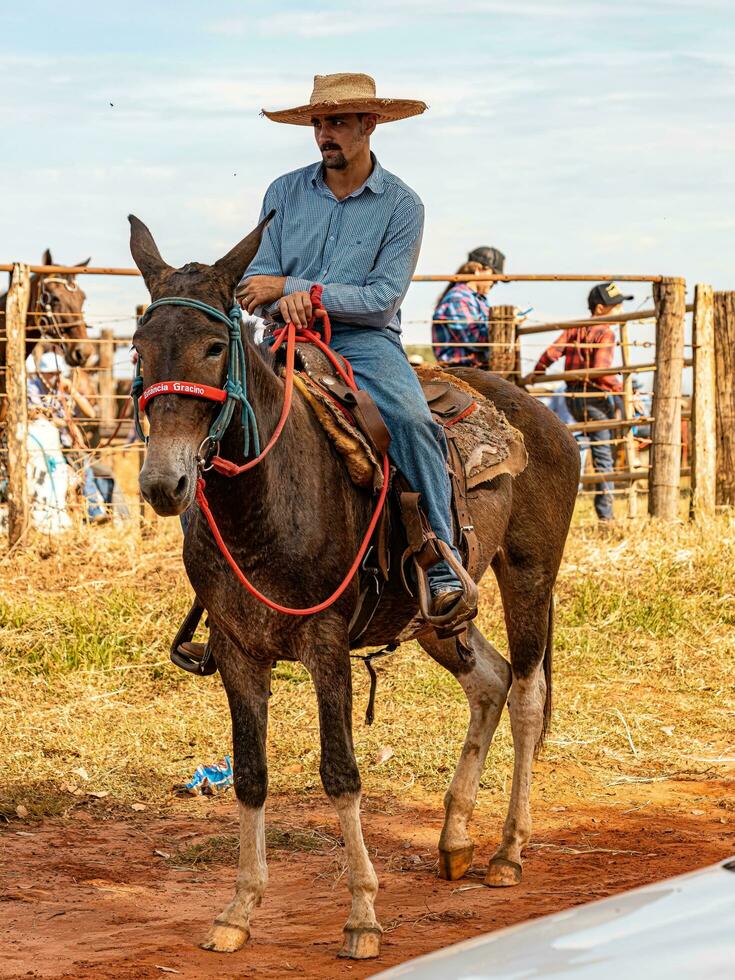 aporie, goias, Brazilië - 05 07 2023 te paard rijden evenement Open naar de openbaar foto