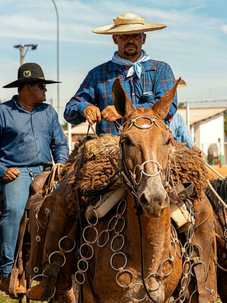 aporie, goias, Brazilië - 05 07 2023 te paard rijden evenement Open naar de openbaar foto