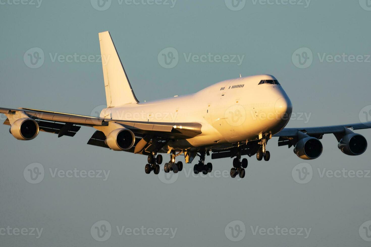 ongetiteld lading vlak Bij luchthaven. luchtvaart industrie en vliegtuigen. lucht vervoer en vlucht reizen. Internationale vervoer. vlieg en vliegen. creatief fotografie. foto