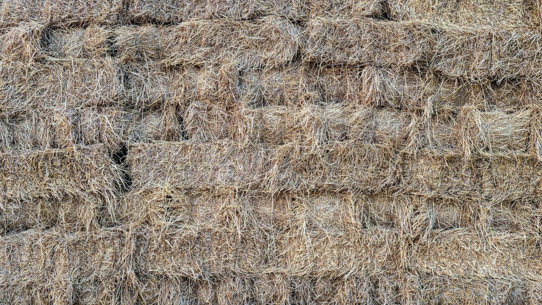 de achtergrond oppervlakte van de muur is opgestapeld omhoog rijst- rietje briketten van de oogst gestapeld in rijen. foto
