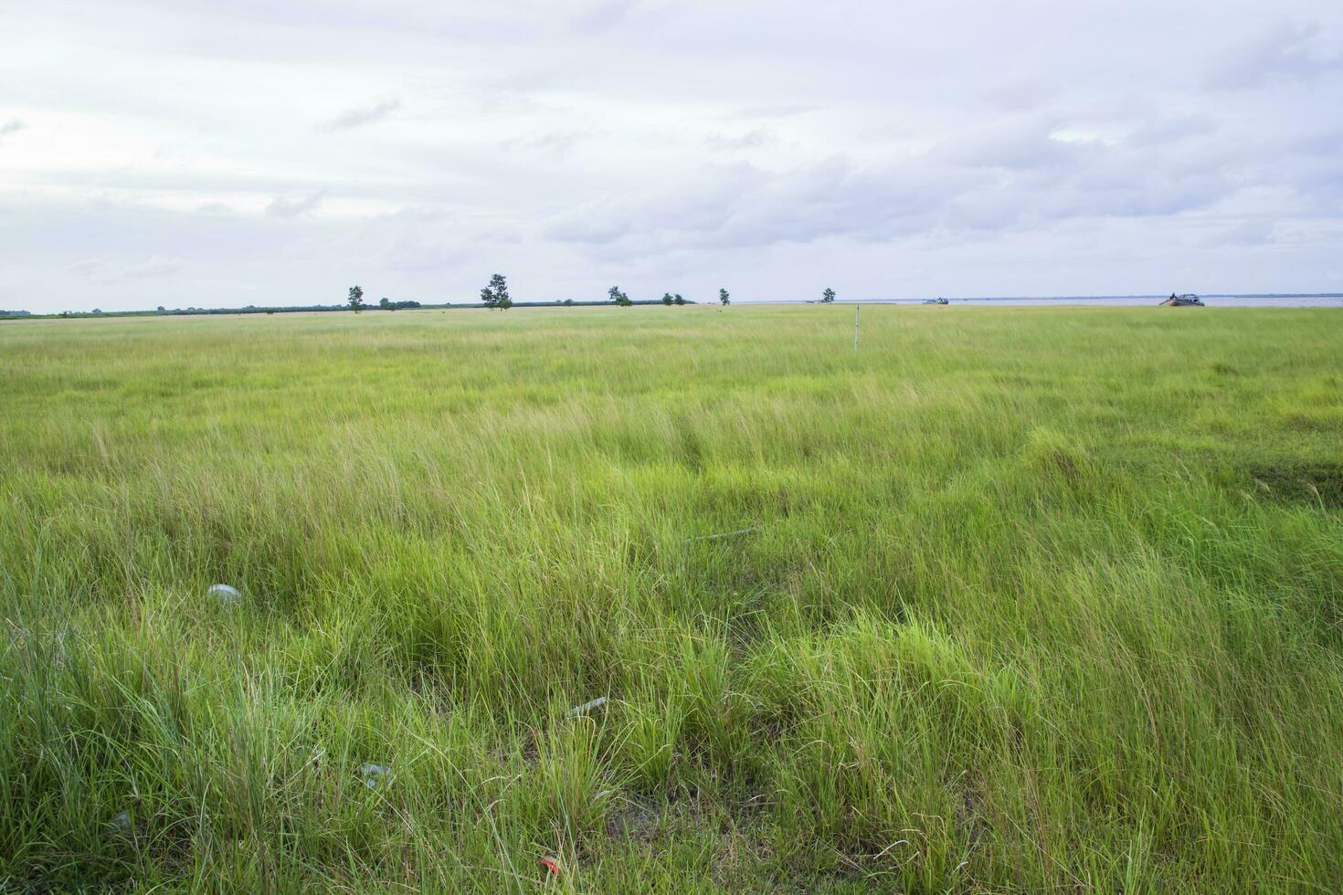 natuurlijk landschap visie van groen gras veld- met blauw lucht foto