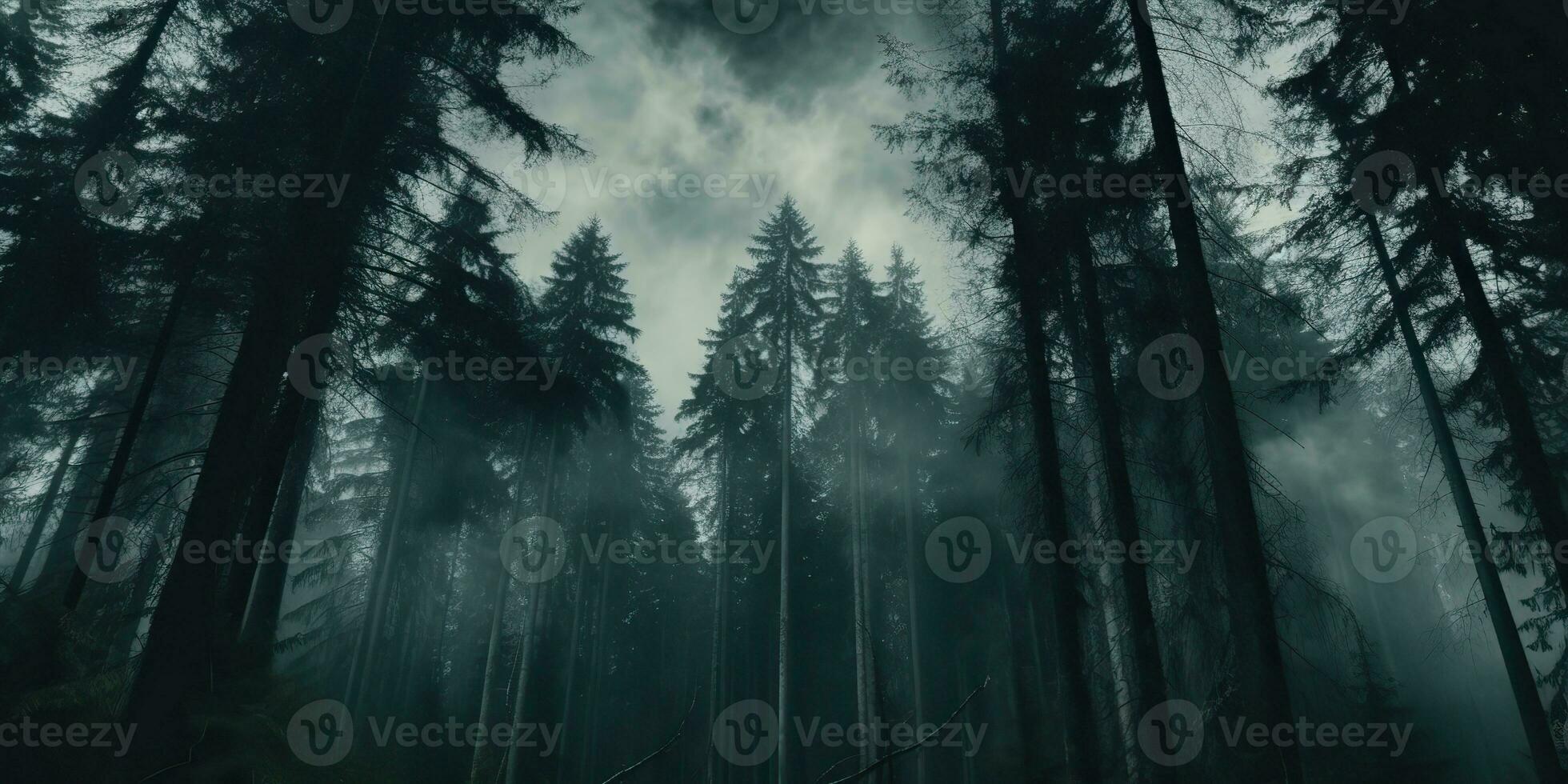 ai gegenereerd. ai generatief. de nevel magie mist nacht donker Woud boom oerwoud landschap achtergrond. eng natuur buitenshuis avontuur onderzoeken reizen uitstraling stijl. grafisch kunst foto