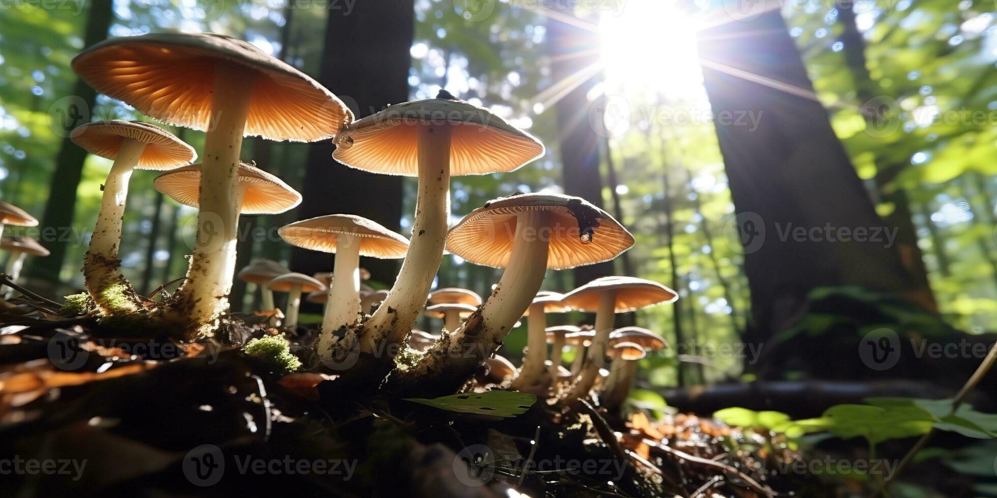 ai gegenereerd. ai generatief. buitenshuis natuur wild landschap Woud onderzoeken reizen avonturen met champignons vind Aan grond. grafisch kunst foto