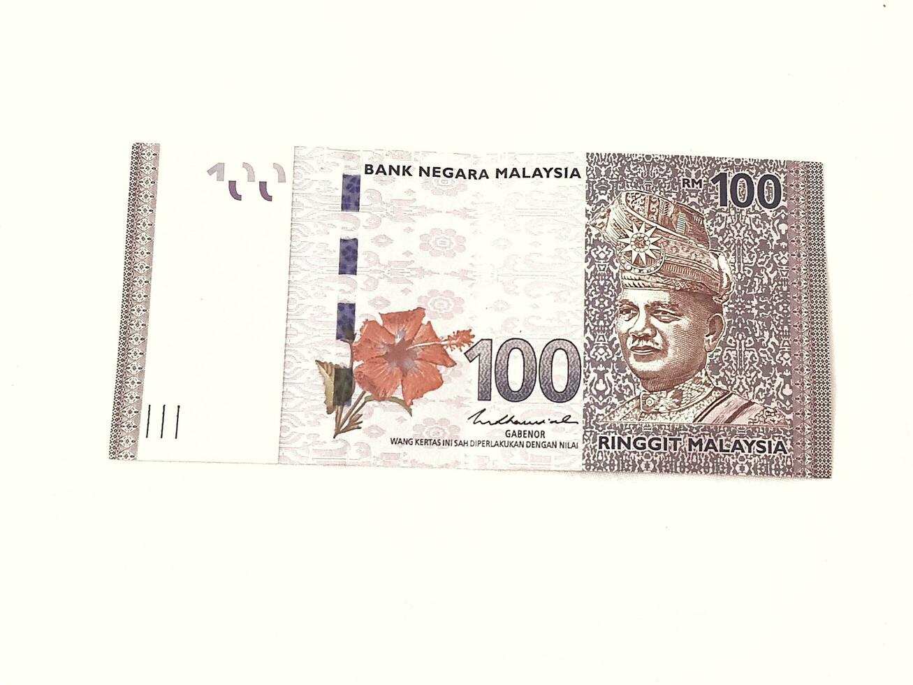 geïsoleerd wit foto van een stuk van 100 ringgit Maleisisch bank aantekeningen