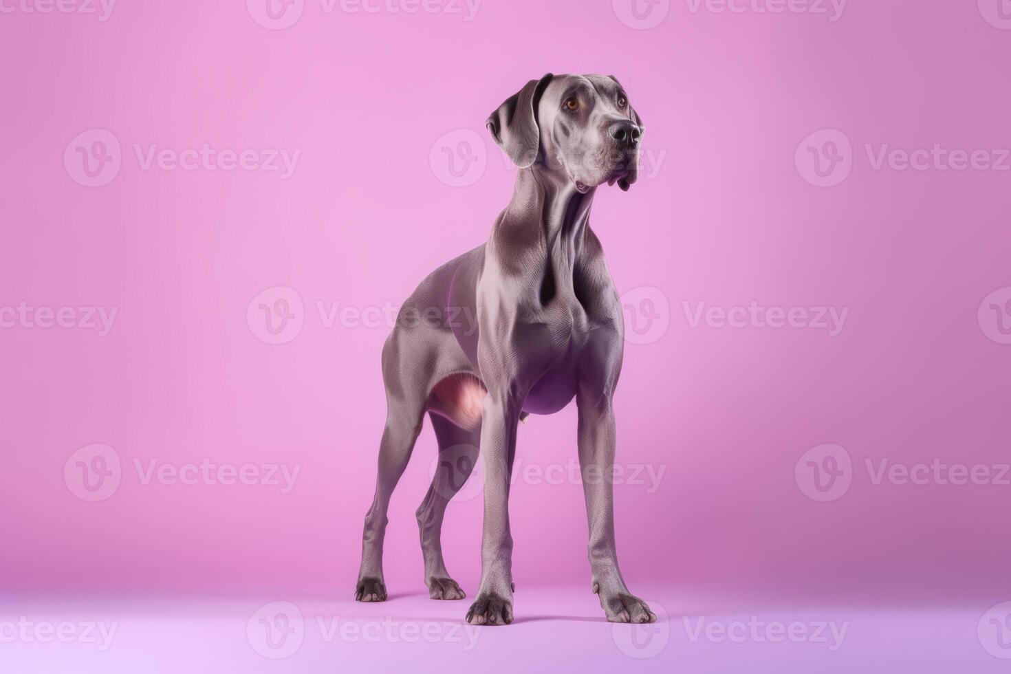 schattig Super goed dane in natuur, nationaal geografie, breed leven dieren. ai gegenereerd. foto