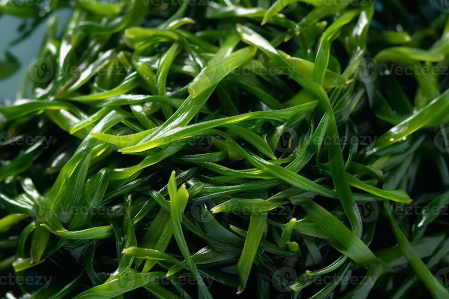 detailopname top visie van ingrediënten zeewier salade groente, Japans voedsel. ai gegenereerd. foto