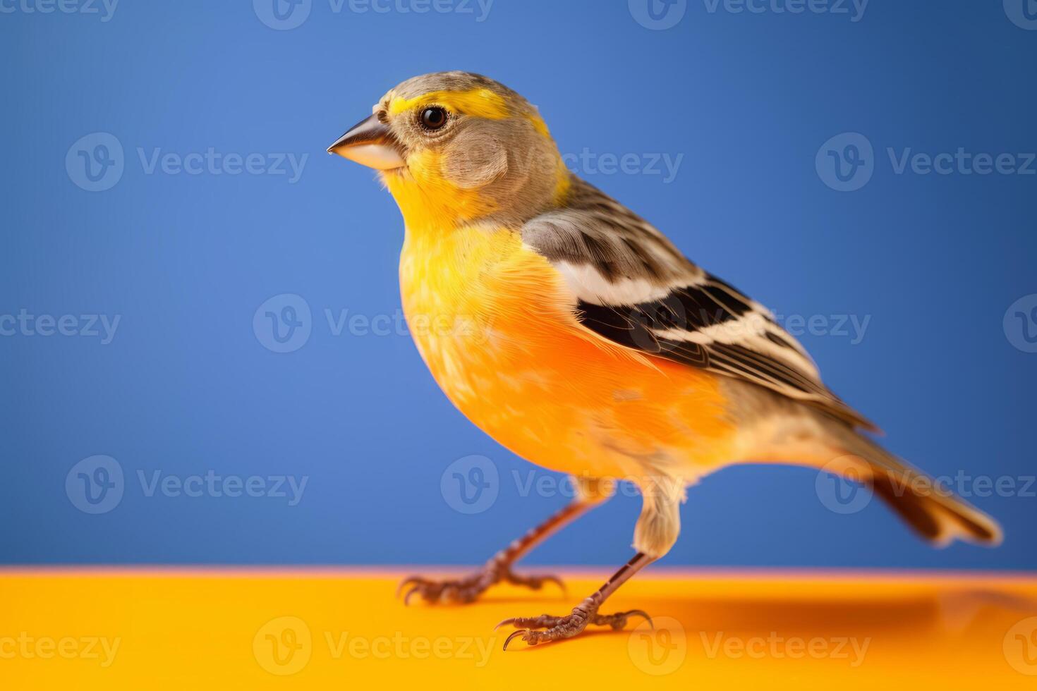 heel schattig vink in natuur, nationaal geografie, breed leven dieren. ai gegenereerd. foto