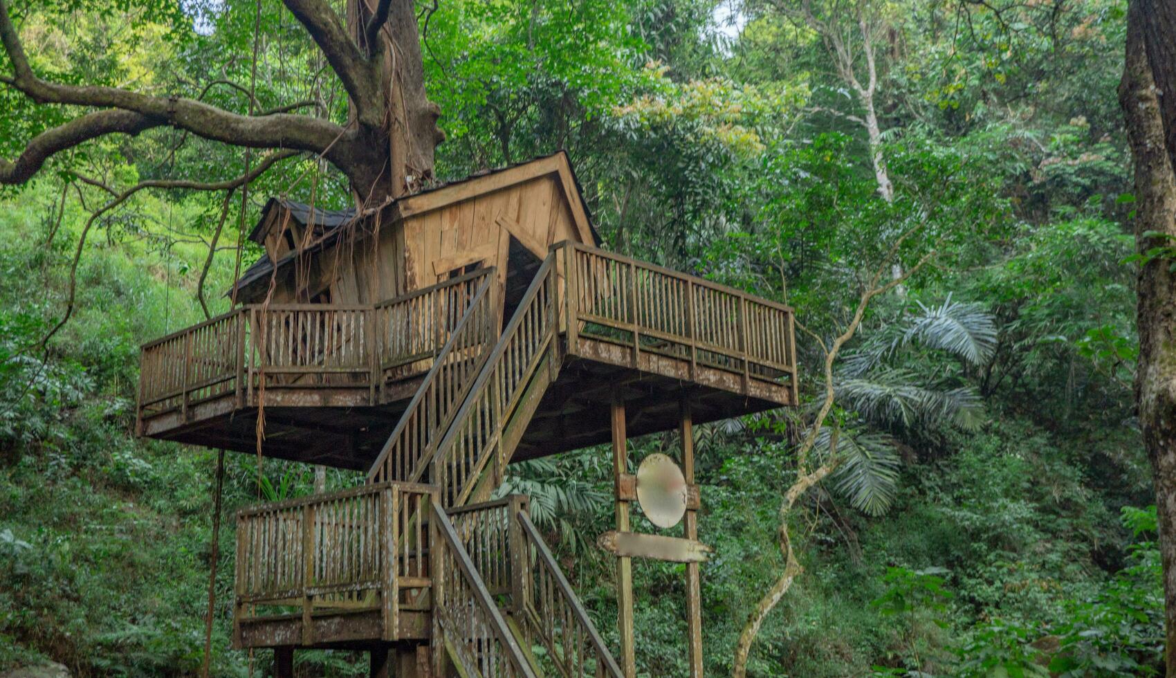 houten huis Aan de pijnboom Woud wanneer voorjaar seizoen. de foto is geschikt naar gebruik voor houten huis achtergrond, milieu poster en natuur inhoud.