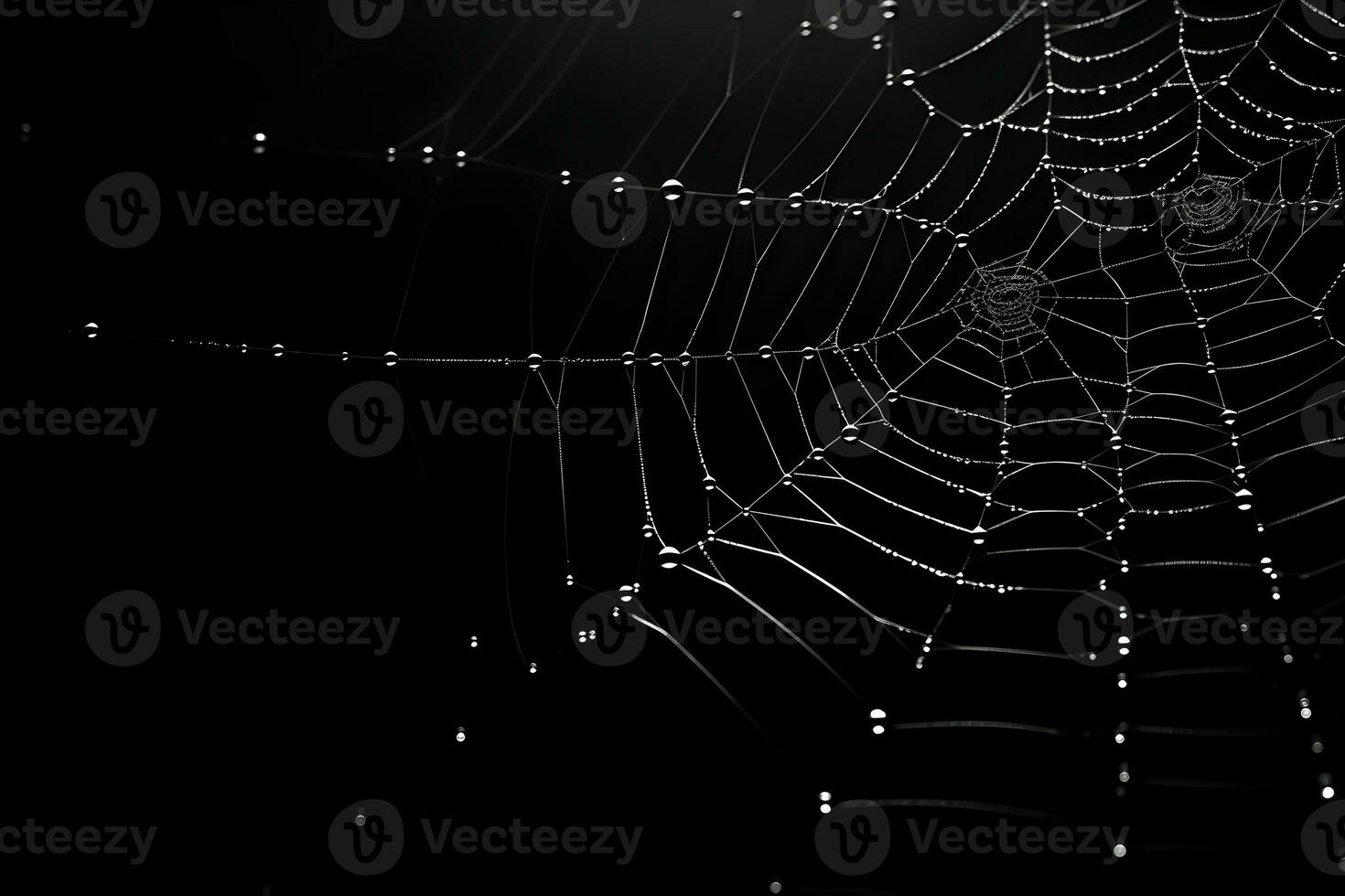 spinnenweb met zwart achtergrond, decoratief wit spinneweb, ai gegenereerd foto