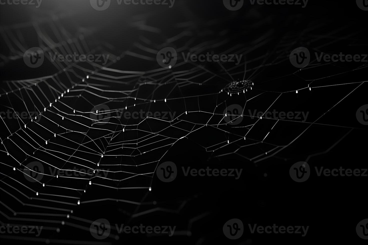 spin web donker achtergrond, spinneweb met water druppels, ai gegenereerd foto