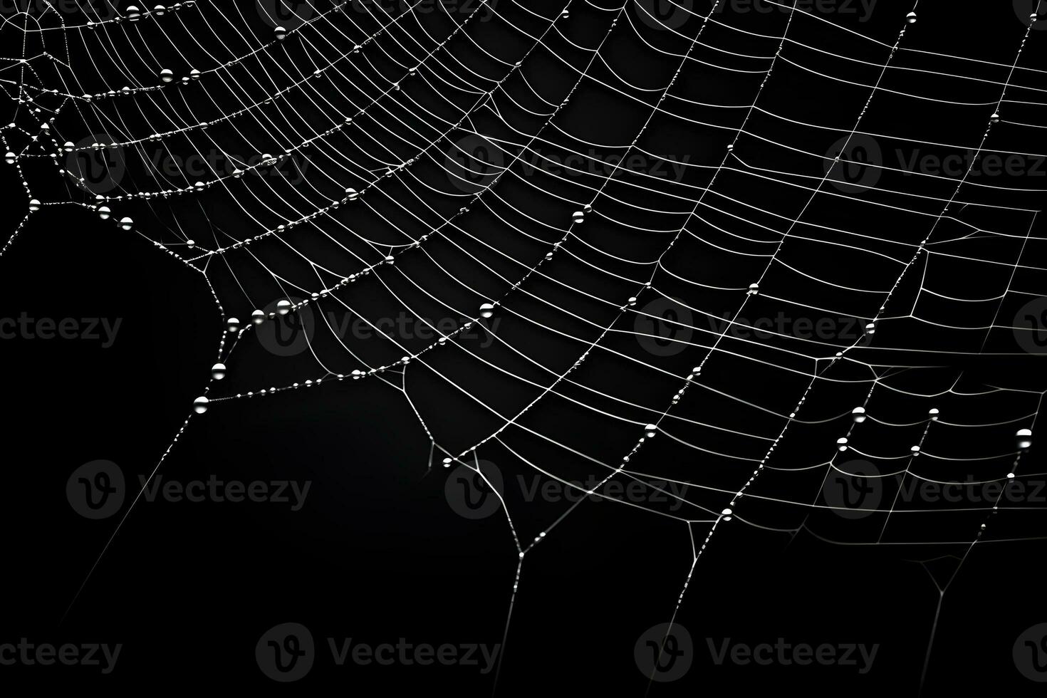 spinnenweb geïsoleerd Aan zwart achtergrond, macro bedauwd spin web, ai gegenereerd foto