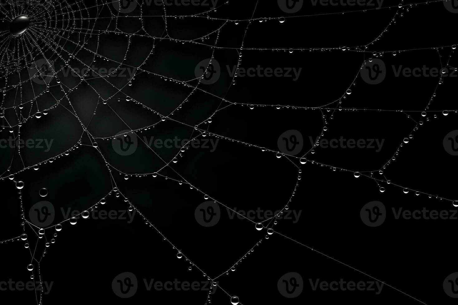 spinnenweb donker achtergrond, spinneweb met water druppels, ai gegenereerd foto