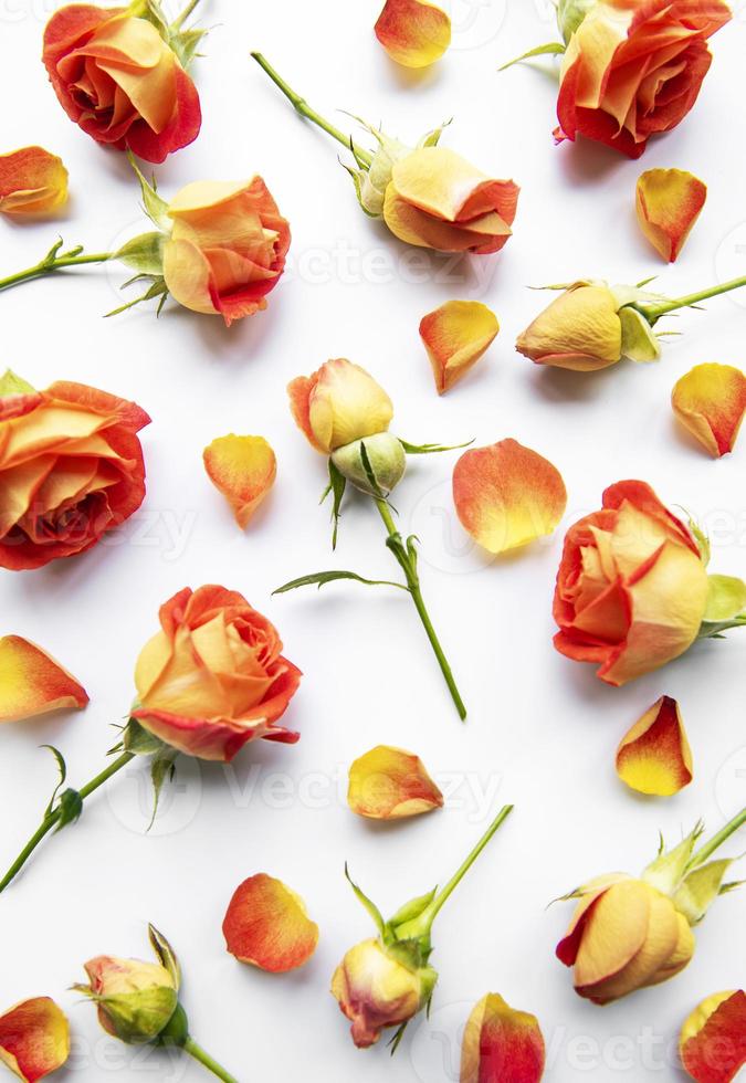 bloemen samenstelling. frame gemaakt van rode rozen en bladeren op witte achtergrond foto