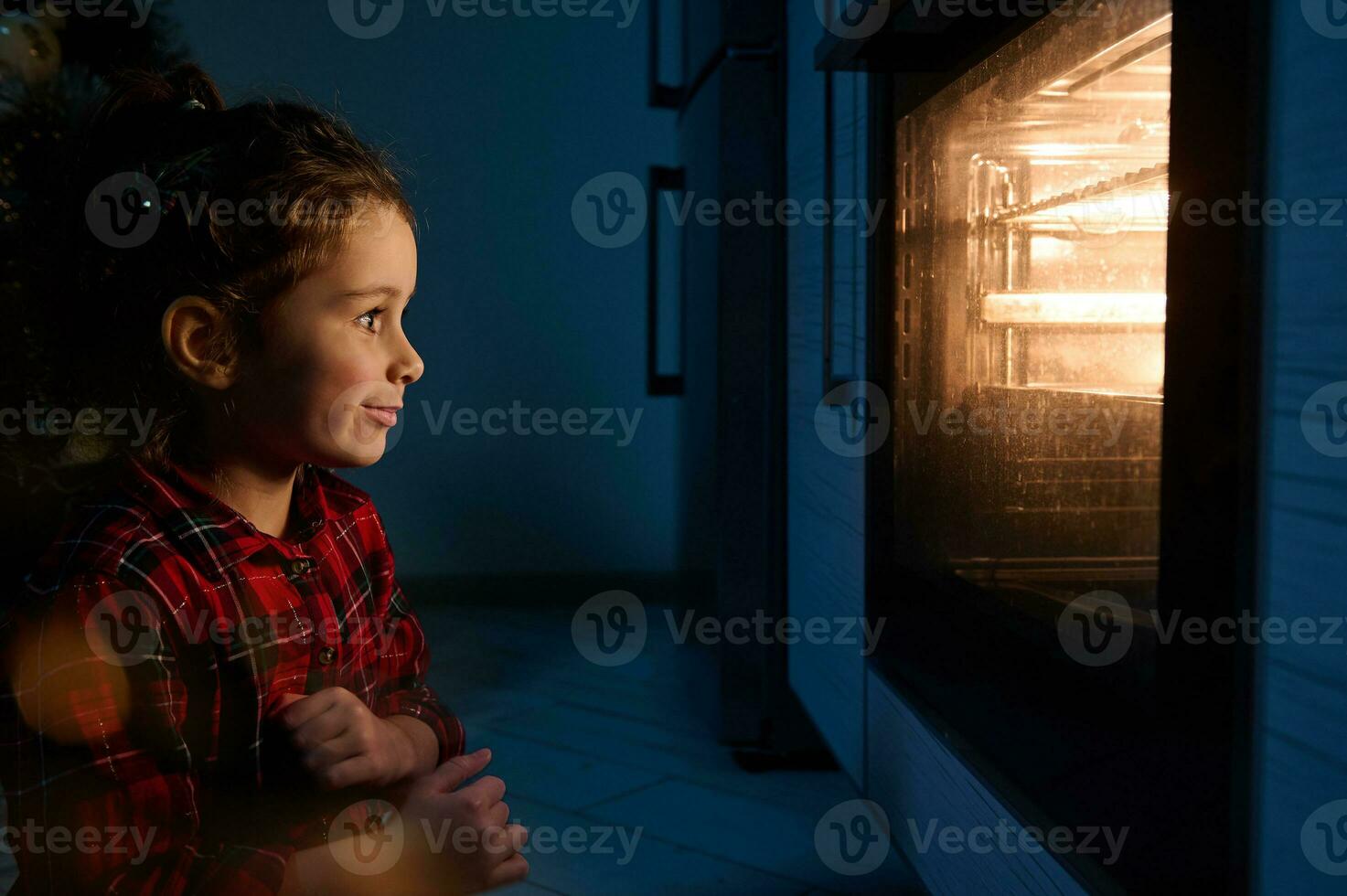 aanbiddelijk nieuwsgierig Europese weinig meisje in een rood en groen plaid jurk zittend Aan de verdieping en op zoek Bij de traditioneel Duitse stollen brood gebakken Aan een bakken dienblad in de heet oven foto