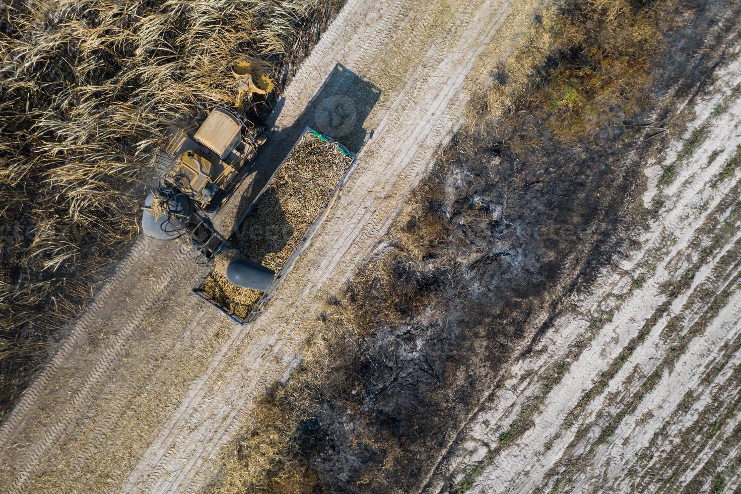 bovenaanzicht vanuit de lucht van suikerrietsnijders werken buitenshuis foto