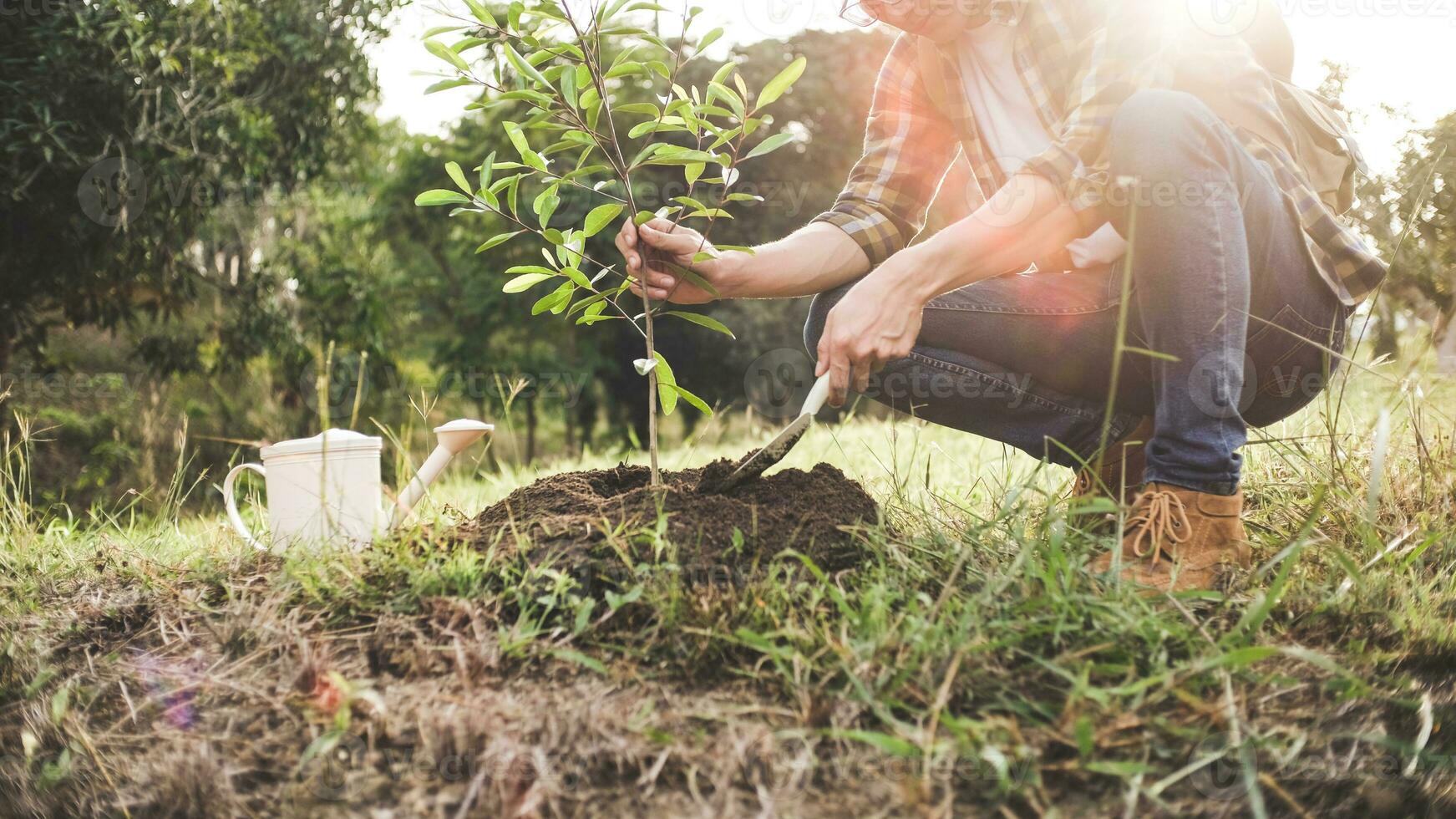 jong Mens tuinman, aanplant boom in tuin, tuinieren en gieter planten foto