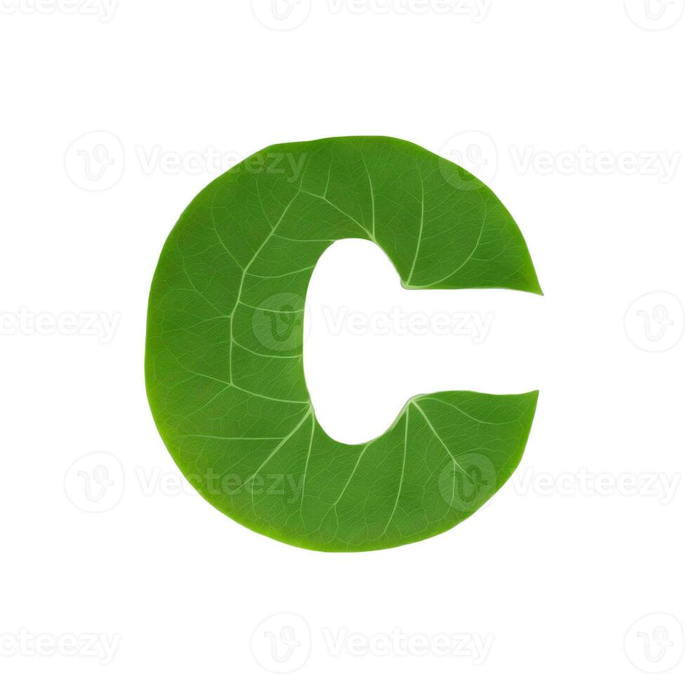 groen blad typografie tekst ontwerp kleine letters alfabet c, ai generatief foto