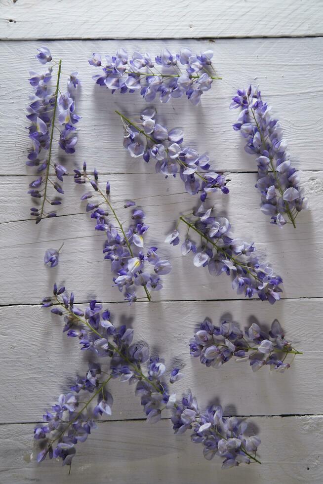 de kleuren van blauweregen foto