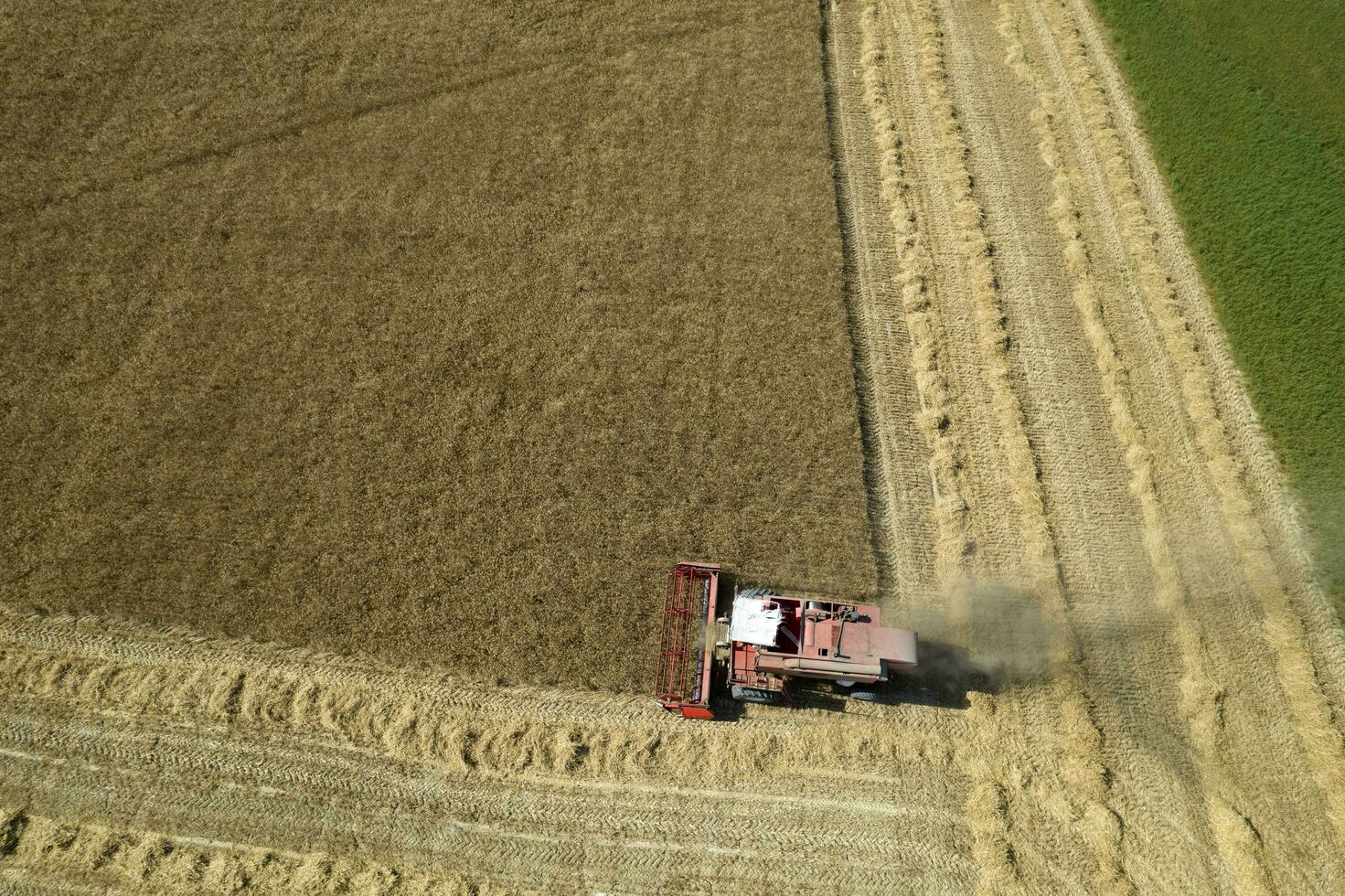 de werk van een tarwe oogstmachine in de zomer foto