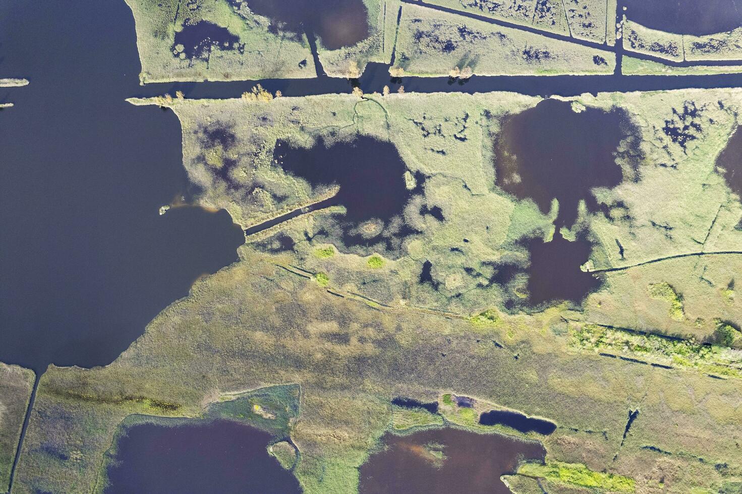 antenne visie van de moerassig Oppervlakte van meer massaciuccoli foto