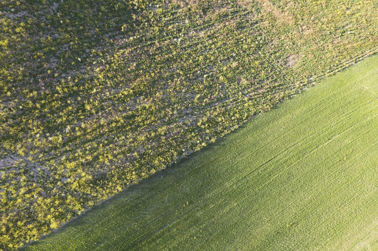 antenne visie van platteland kleuren in voorjaar foto