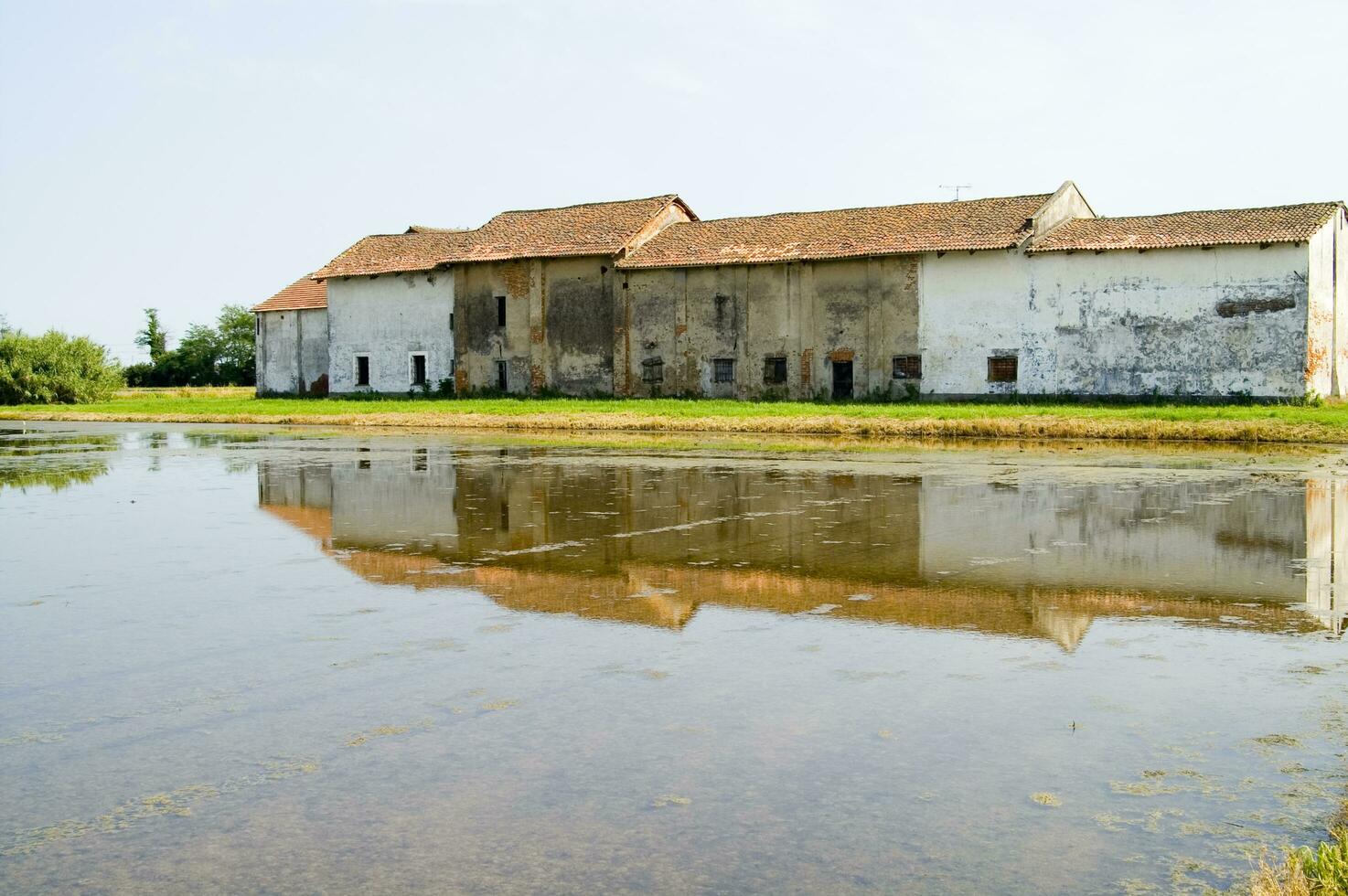 oude boerderijen in de rijst- velden in vercelli Italië foto