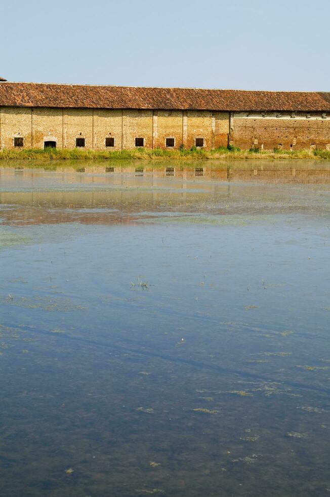 oude boerderijen in de rijst- velden in vercelli Italië foto