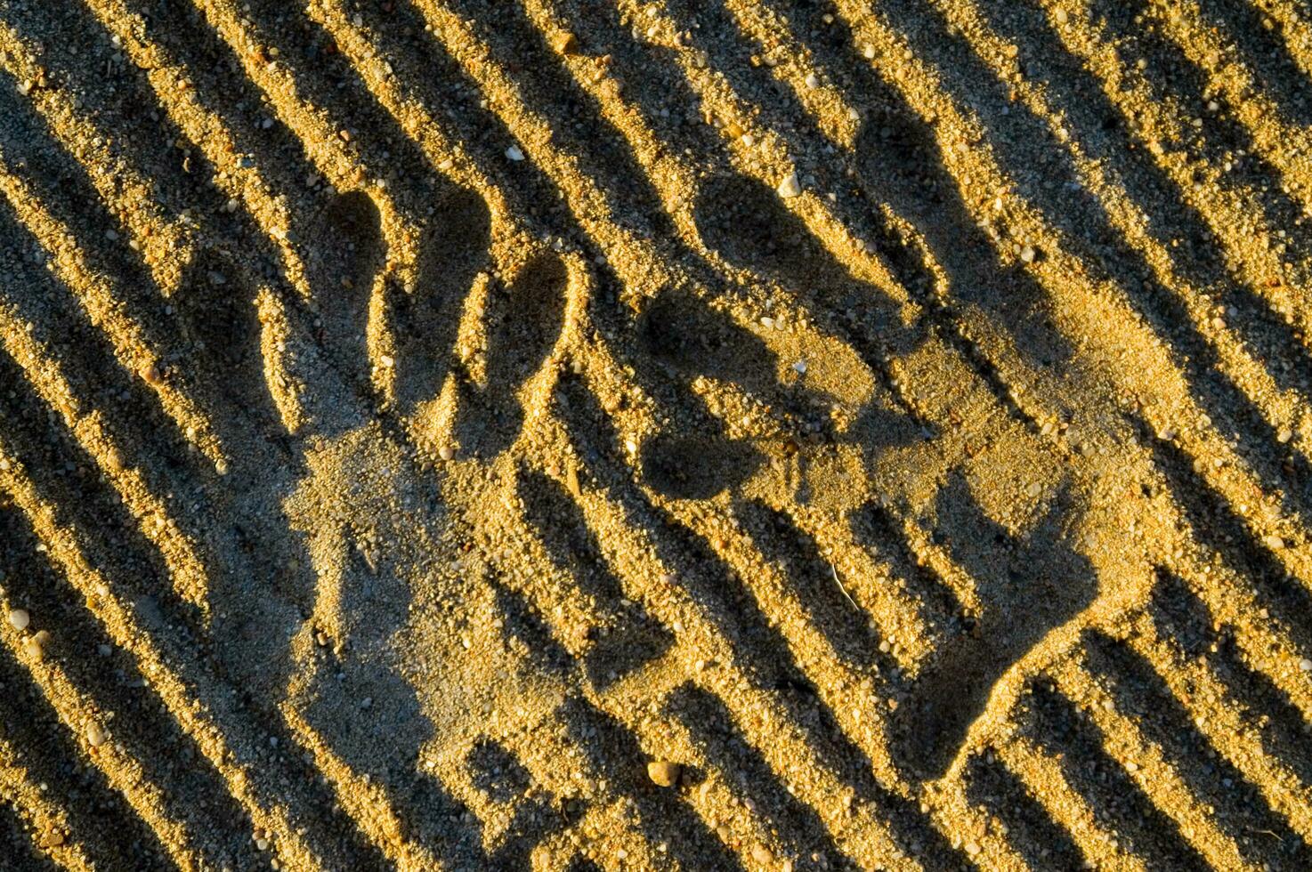 een hand- afdrukken in de zand met twee handen foto