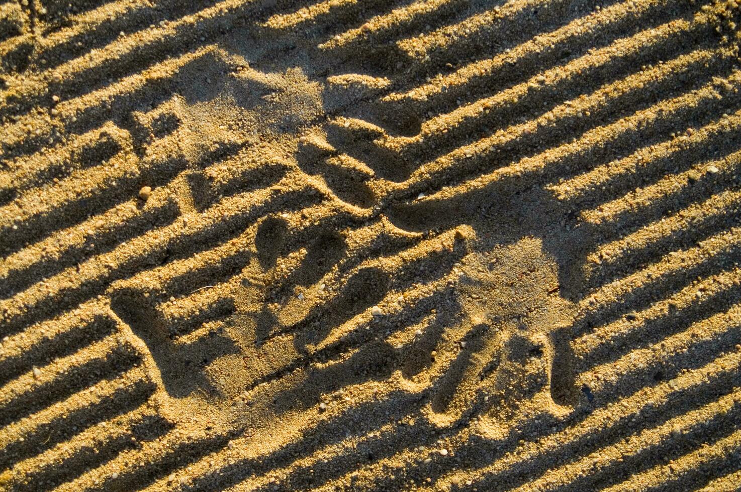 een hand- afdrukken in de zand met twee handen foto