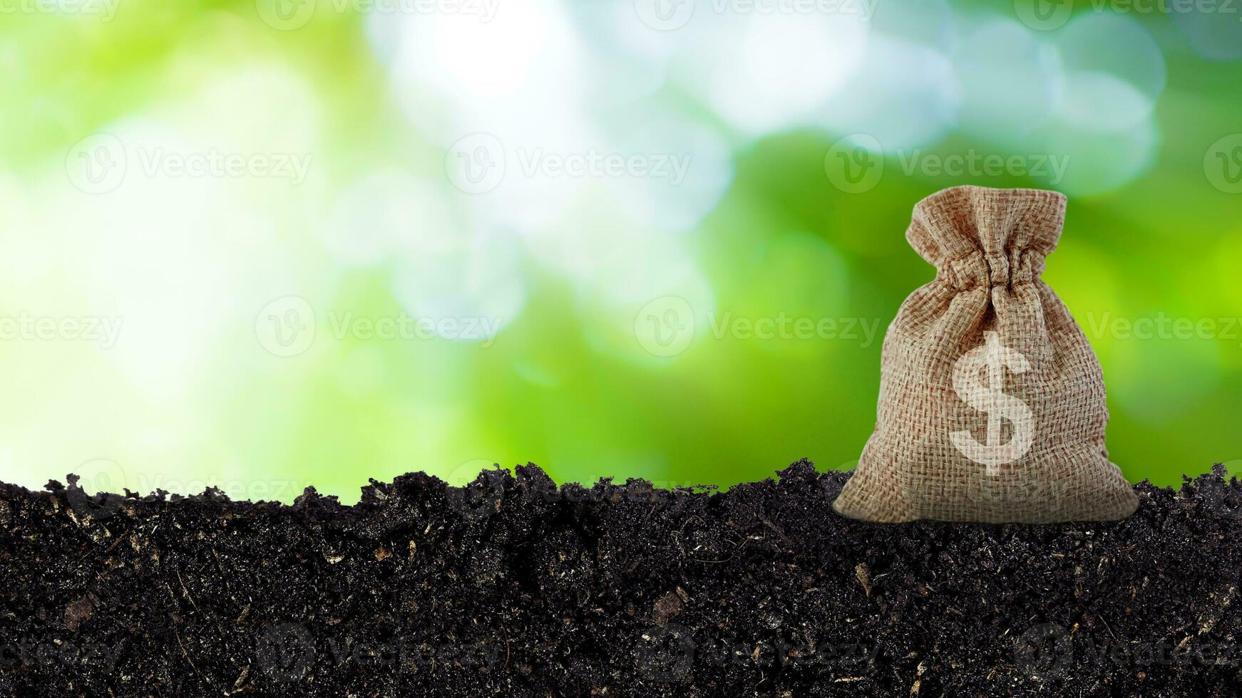 geld zak in een spaargeld Aan bodem met zonlicht bokeh groen natuur achtergrond. bedrijf investering ideeën en financieel groei foto