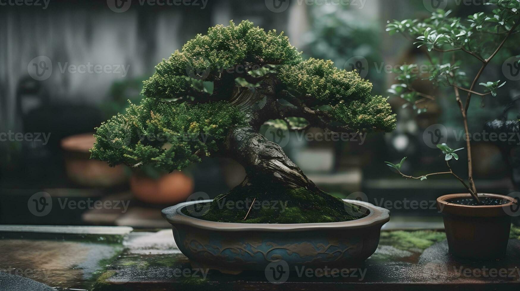 mooi bonsai fabriek Scherm in een keramisch pot binnen. ai gegenereerd foto